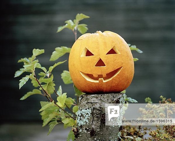 A Halloween pumpkin.