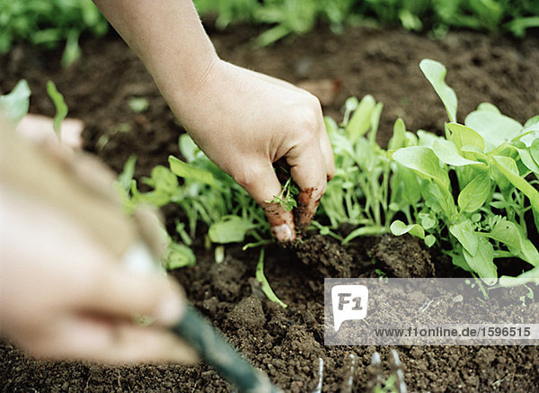 Woman planting seeds in garden soil close-up.