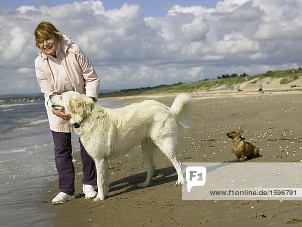 Eine Frau am Strand mit ihren zwei Hunden eine große und eine kleine.