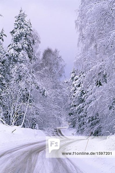 Winter Road Schweden.