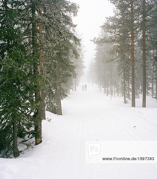 Zwei Kinder in einem Ski verfolgen Dalarna  Schweden.