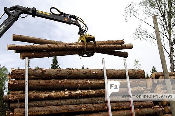 Kranich heben Holz Turmkran