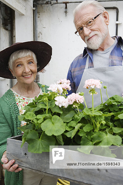 An elderly Scandinavian couple holding a flower box Sweden.