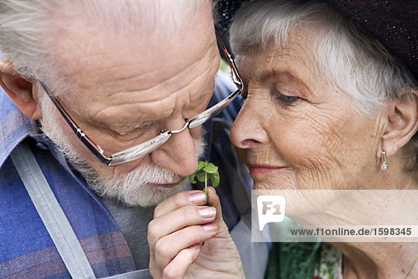 An elderly Scandinavian couple with basil Sweden.