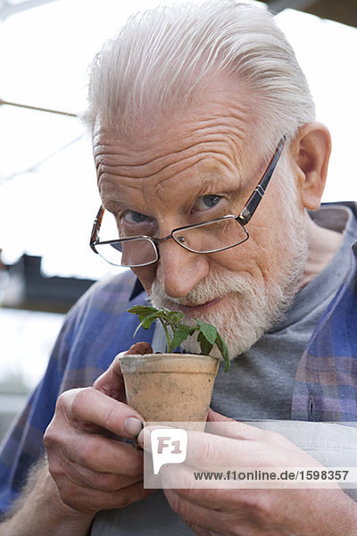 Old Scandinavian man smelling a plant Sweden.