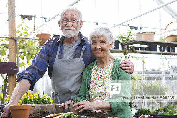An elderly Scandinavian couple planting flowers Sweden.
