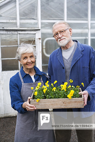 Ein älteres Ehepaar mit einem Blumenkasten außerhalb eines Gewächshauses Schweden.