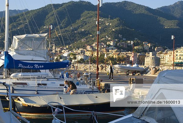 Boote am Hafen  Rapallo  Genua  Ligurien  Italien
