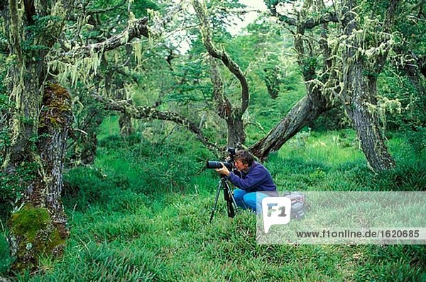 Photographer in the forest at the Rio Serrano