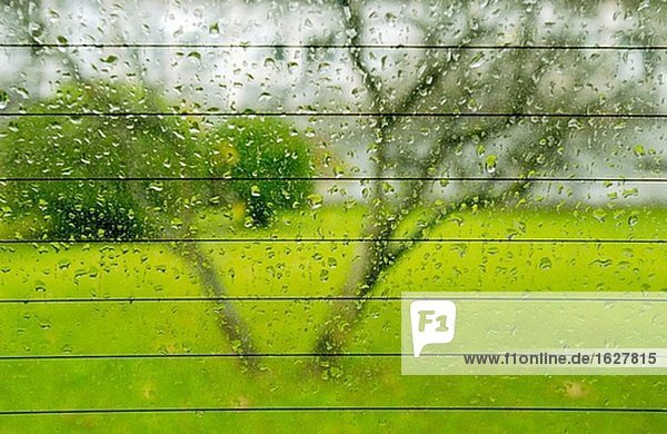Rain on heated rear windscreen