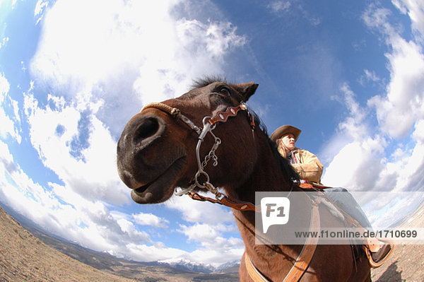 Cowgirl auf ihrem Pferd