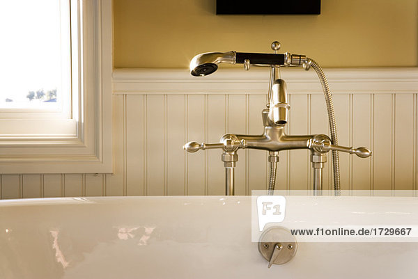 Fancy Bathtub Faucet and Shower Head