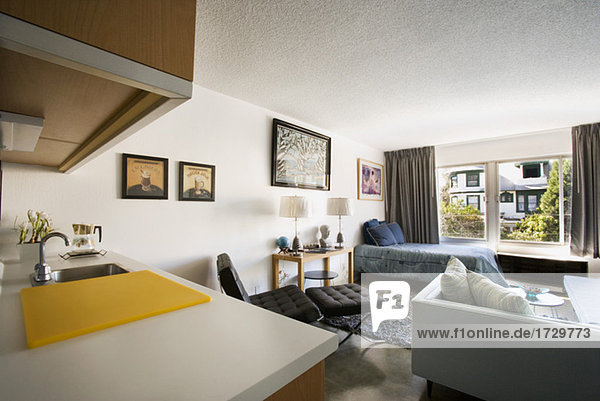 Lifestyle modern Apartment Loft