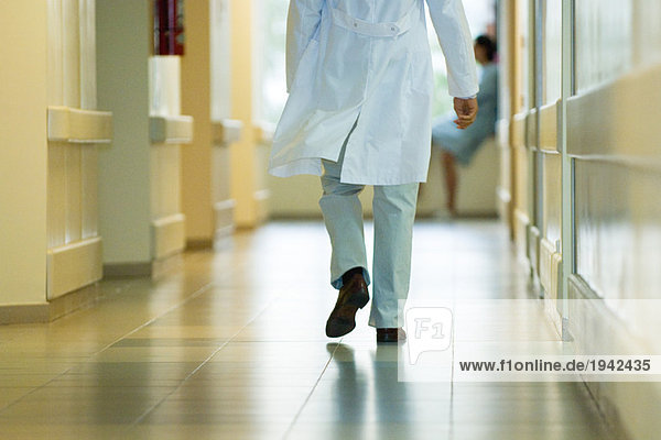 Male doctor walking in hospital corridor  cropped rear view