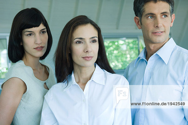 Three business associates looking away  portrait  head and shoulders