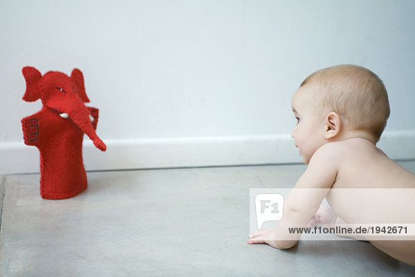 Nacktes Baby krabbelt auf dem Boden  schaut auf Marionette  Taille oben