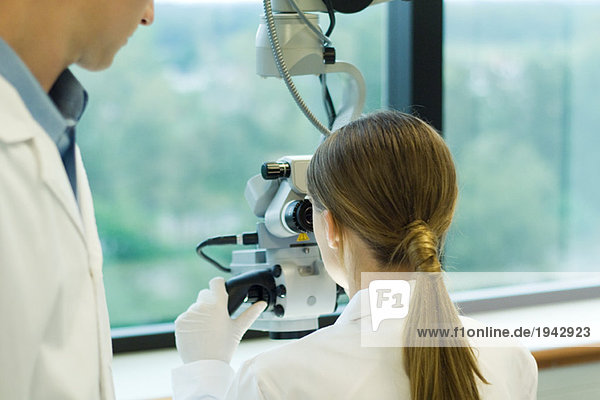 Junge Frau am Mikroskop  während männliche Kollegen zuschauen  Rückansicht