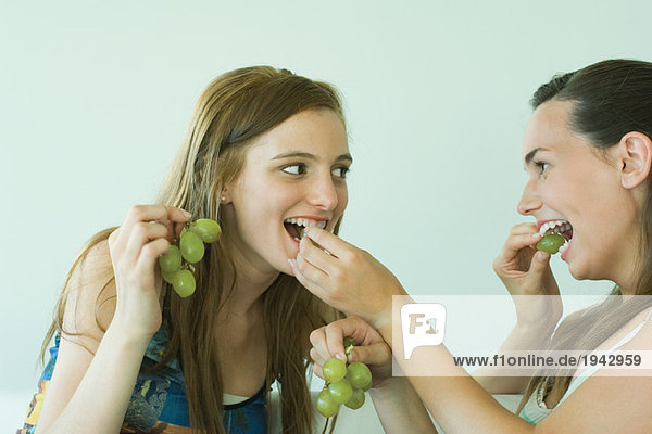 Zwei junge Freunde füttern sich gegenseitig mit Trauben  lächelnd