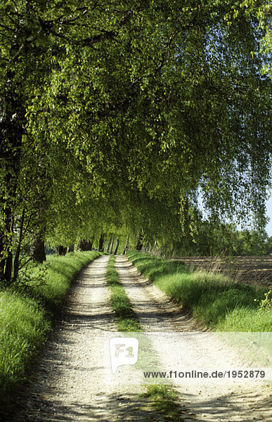 Germany  Bavaria  Alley