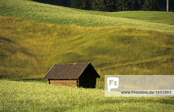 Germany  Alpine Uplands