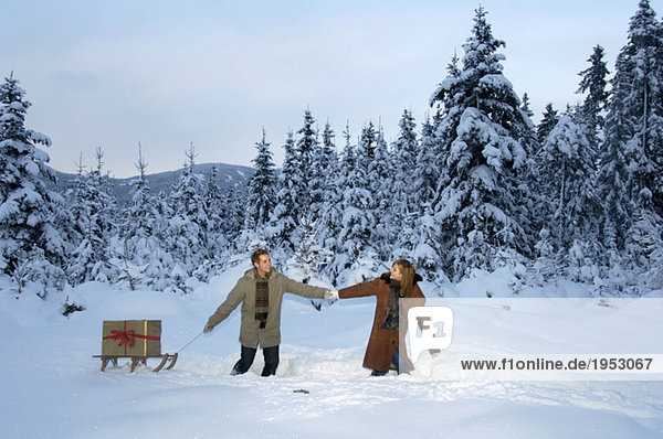 Young couple carrying Christmas gift on sledge in snow