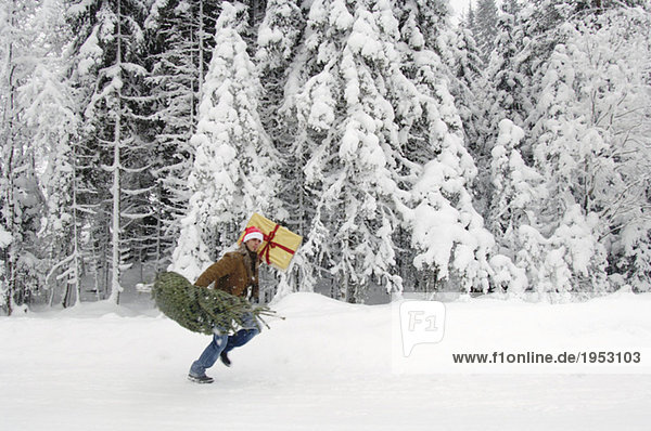 Man in snow,  carrying Christmas tree