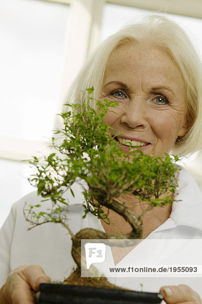 Seniorin mit Topf-Bonsai-Baum,  lächelnd,  Portrait,  Nahaufnahme