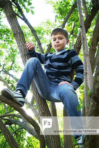 Boy sitting high up in a tree
