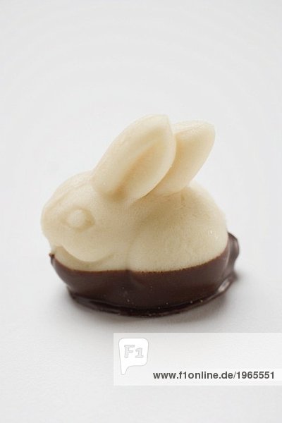 Marzipan Easter Bunny  half-coated in chocolate