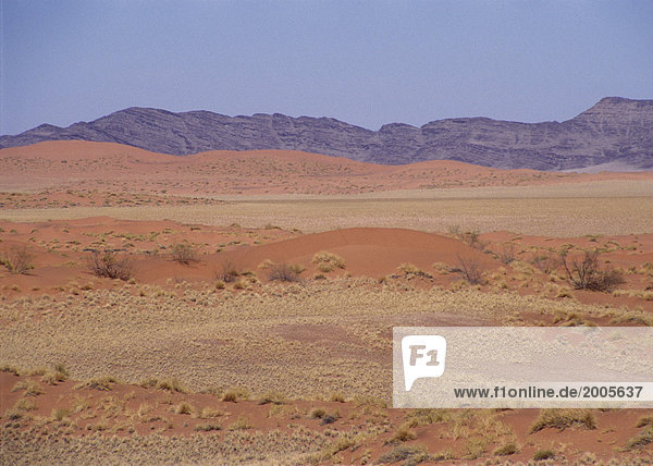Wüstenlandschaft mit Bergen  Namibia  Afrika