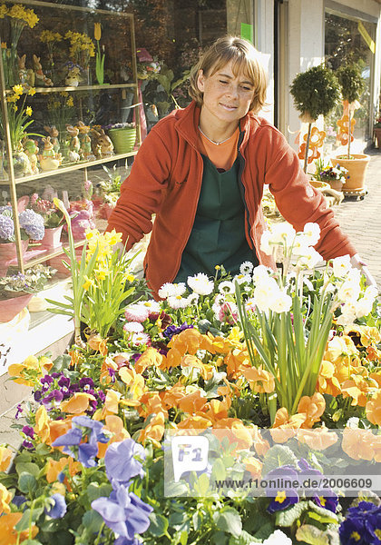 Blumenladen  Floristin baut außen Auslage auf