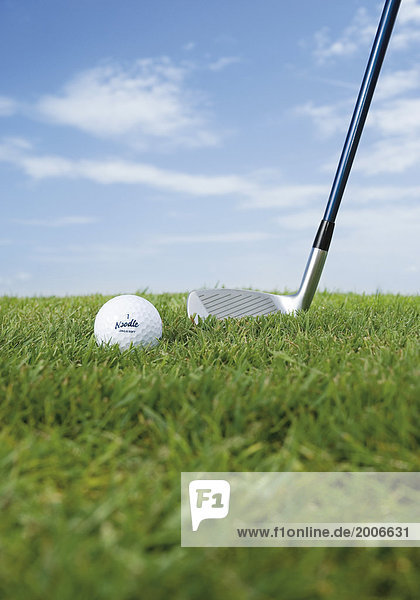 Golfschläger und Golfball auf Rasen