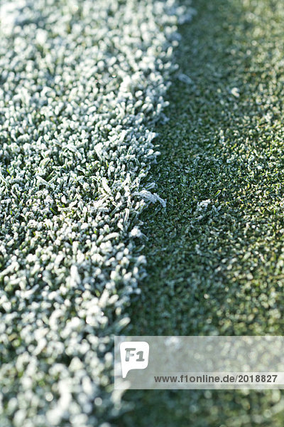 Frostbedecktes Gras