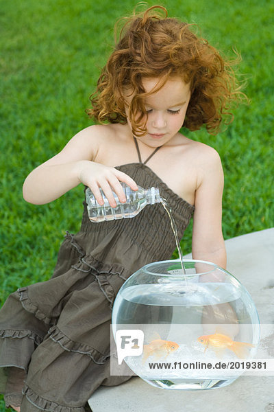 Rothaariges kleines Mädchen gießt Wasser in die Goldfischschale