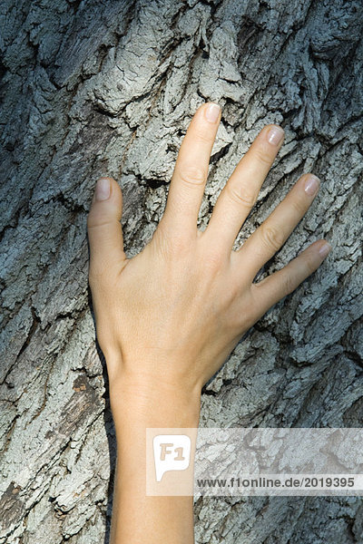 Frauenhand auf Baumstamm  Nahaufnahme