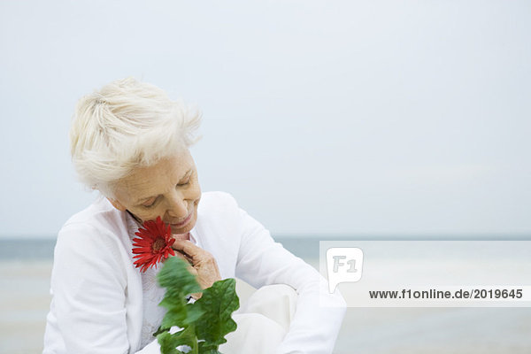 Seniorin mit Gerbera-Gänseblümchen im Gesicht  Ozean im Hintergrund  Kopf und Schultern