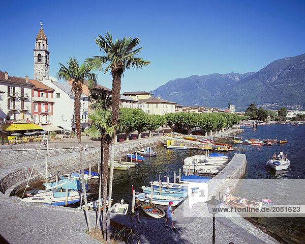 Hafen Europa Mensch Menschen Wohnhaus Baum Gebäude Boot Kirchturm Ascona Schweiz