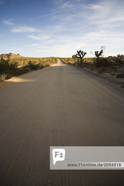A dirt road through an arid landscape