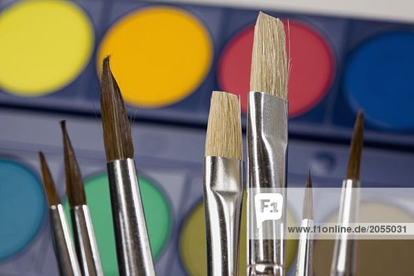 Paintbrushes and watercolor paints