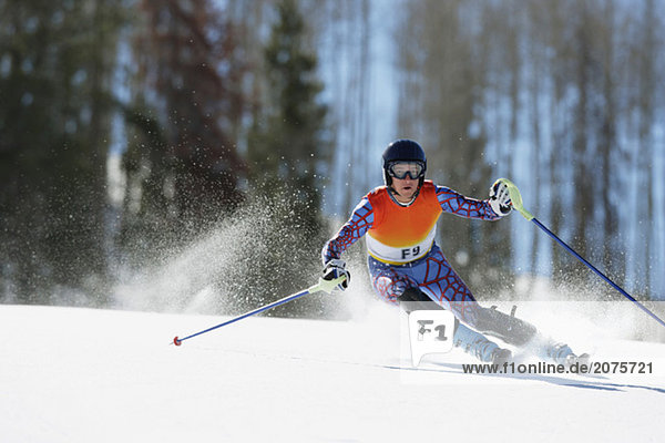 Slalom Skier
