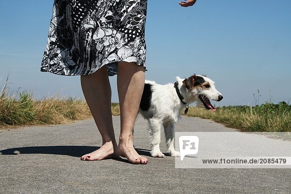 Niedrige Schnittansicht Frau zu Fuß mit Hund auf Straße