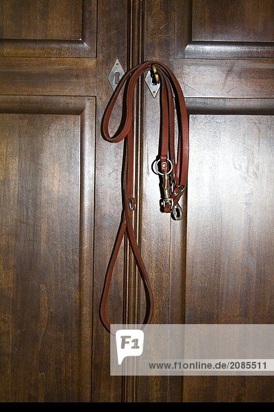 Close-up of dog's leash hanging on key inserted in keyhole