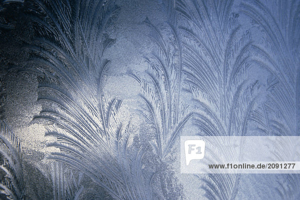 Frost Muster Fenster im Bereich Sitka Alaska Southeast Winter