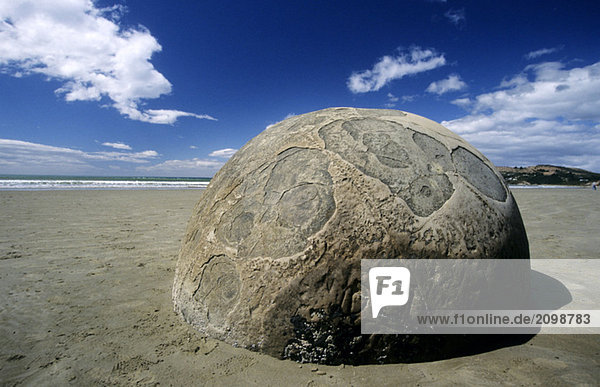 New Zealand  South Island  Moeraki Boulders on beach  close-up