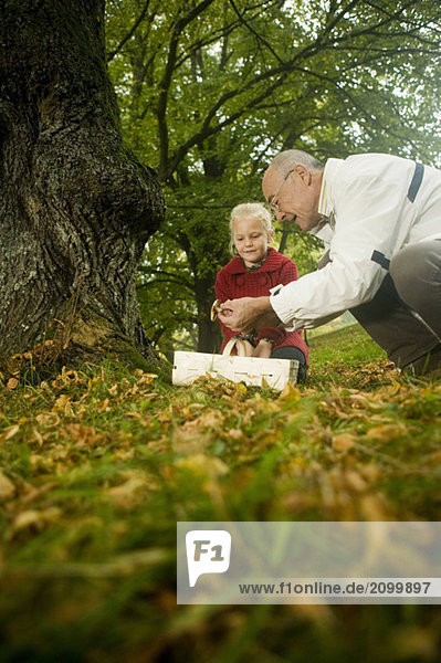Germany  Baden-Württemberg  Swabian mountains  Grandfather and granddaughter searching mushrooms in the forest  portrait