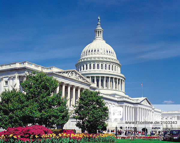 Vereinigten Staaten von Amerika. Washington D.C.. Das Kapitolgebäude.