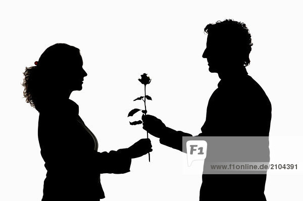 Mann schenkt der Frau Rose  Silhouette
