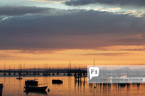 Germany Allensbach  Lake Constance at sunset