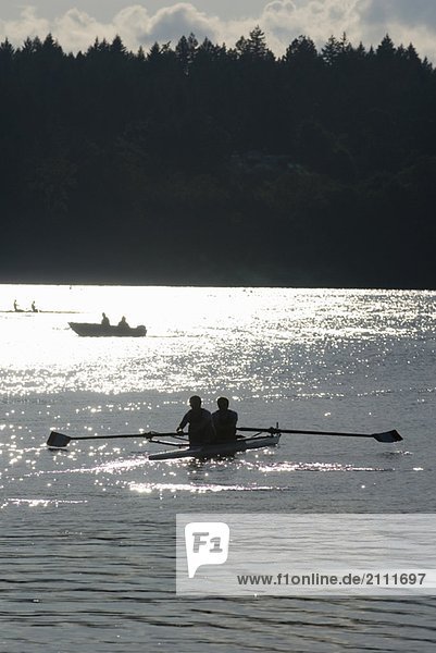 Silhouette of rowers competing on a lake  Elk Lake  Victoria  BC  Canada