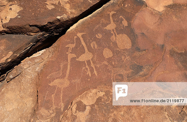 Höhle Malerei auf Felsen  Twyfelfontein  Region Kunene  Namibia
